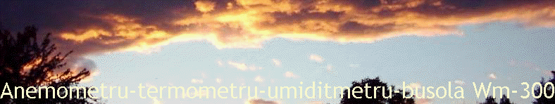 Anemometru-termometru-umiditmetru-busola Wm-300