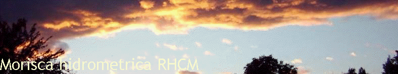 Morisca hidrometrica RHCM